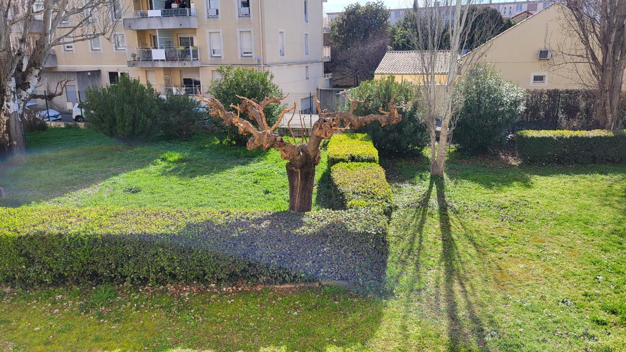 Appartamento Les Tourterelles D'Avignon 2 Esterno foto